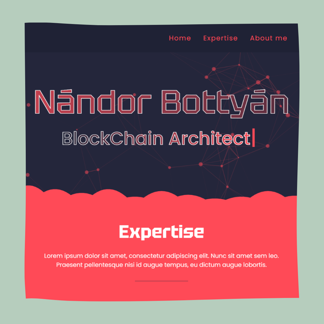 portfolio project